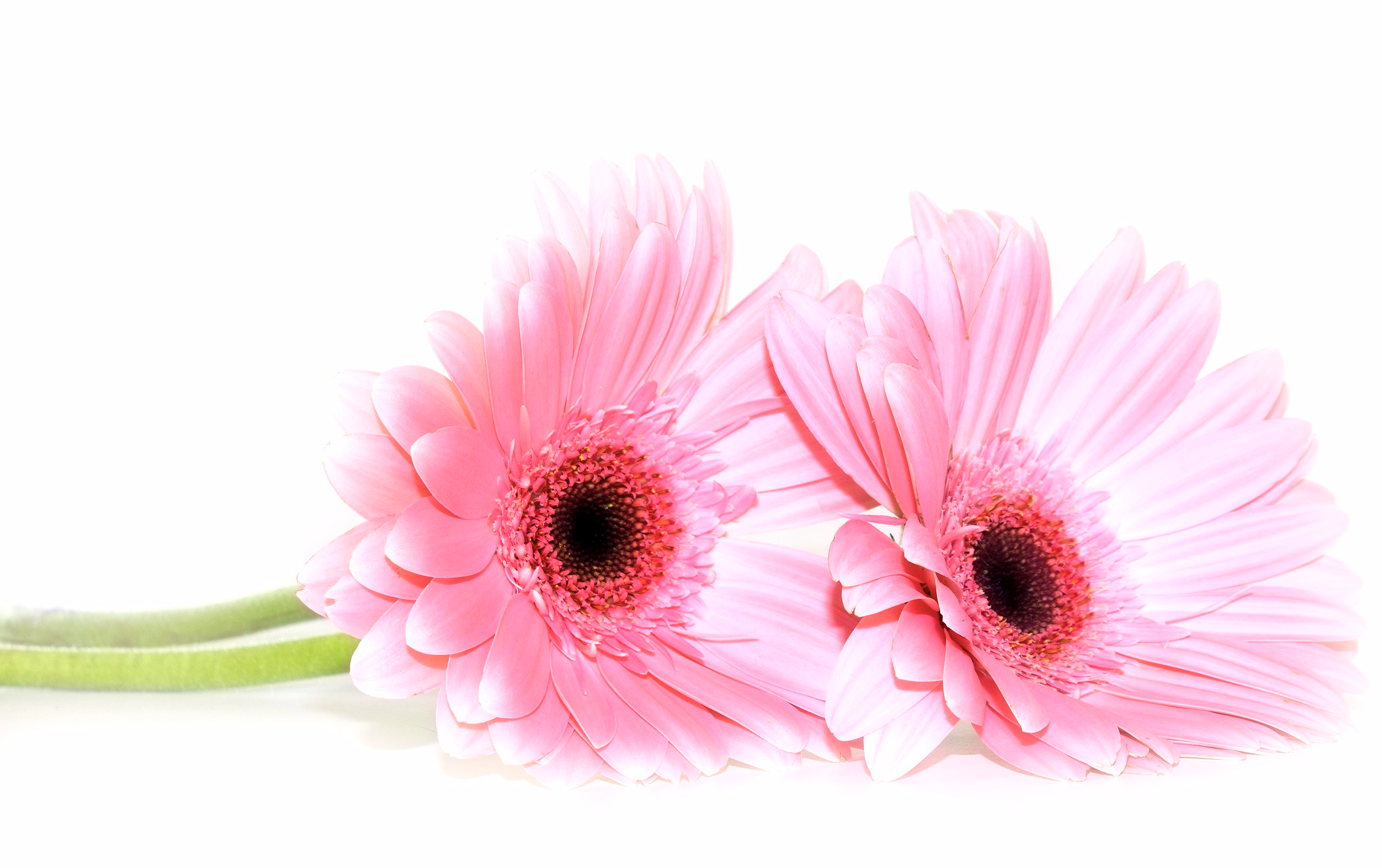 Assistance Virtuelle